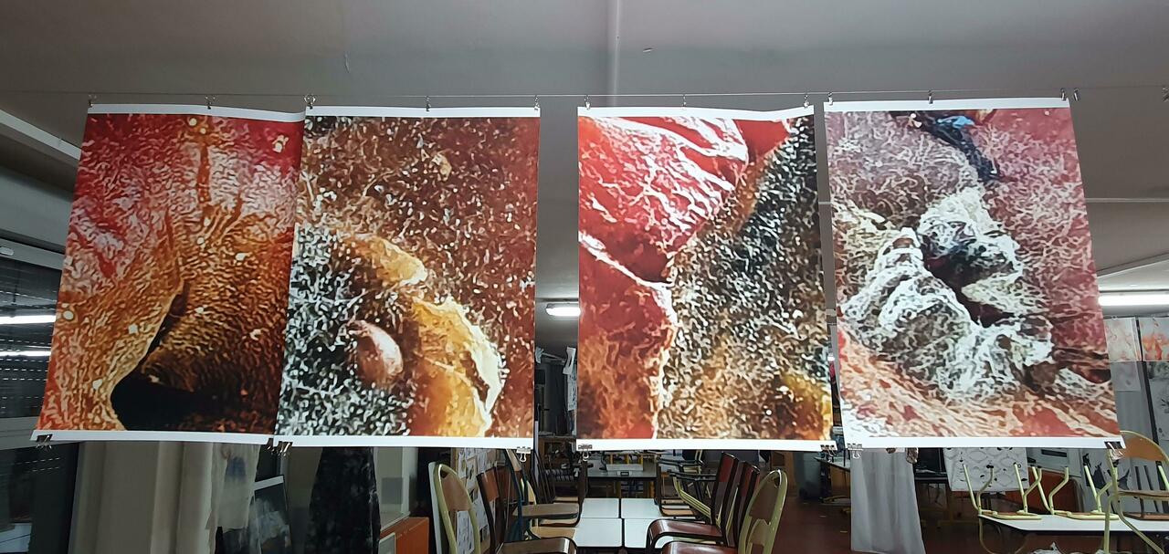  © Lycée Lumière
